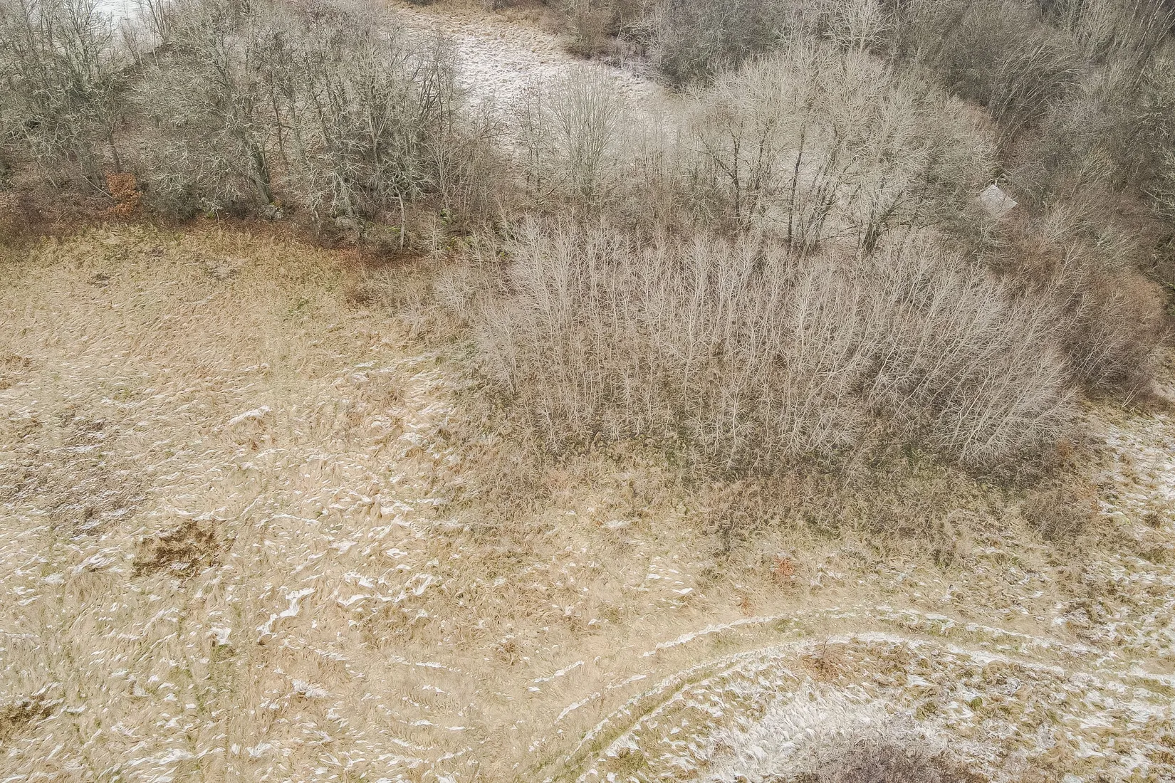 Gård/Skog, Hästveda, Hästveda, Hässleholm