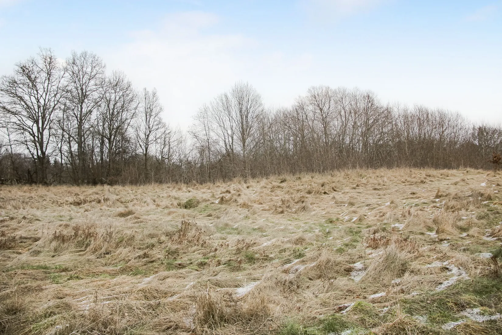 Gård/Skog, Hästveda, Hästveda, Hässleholm