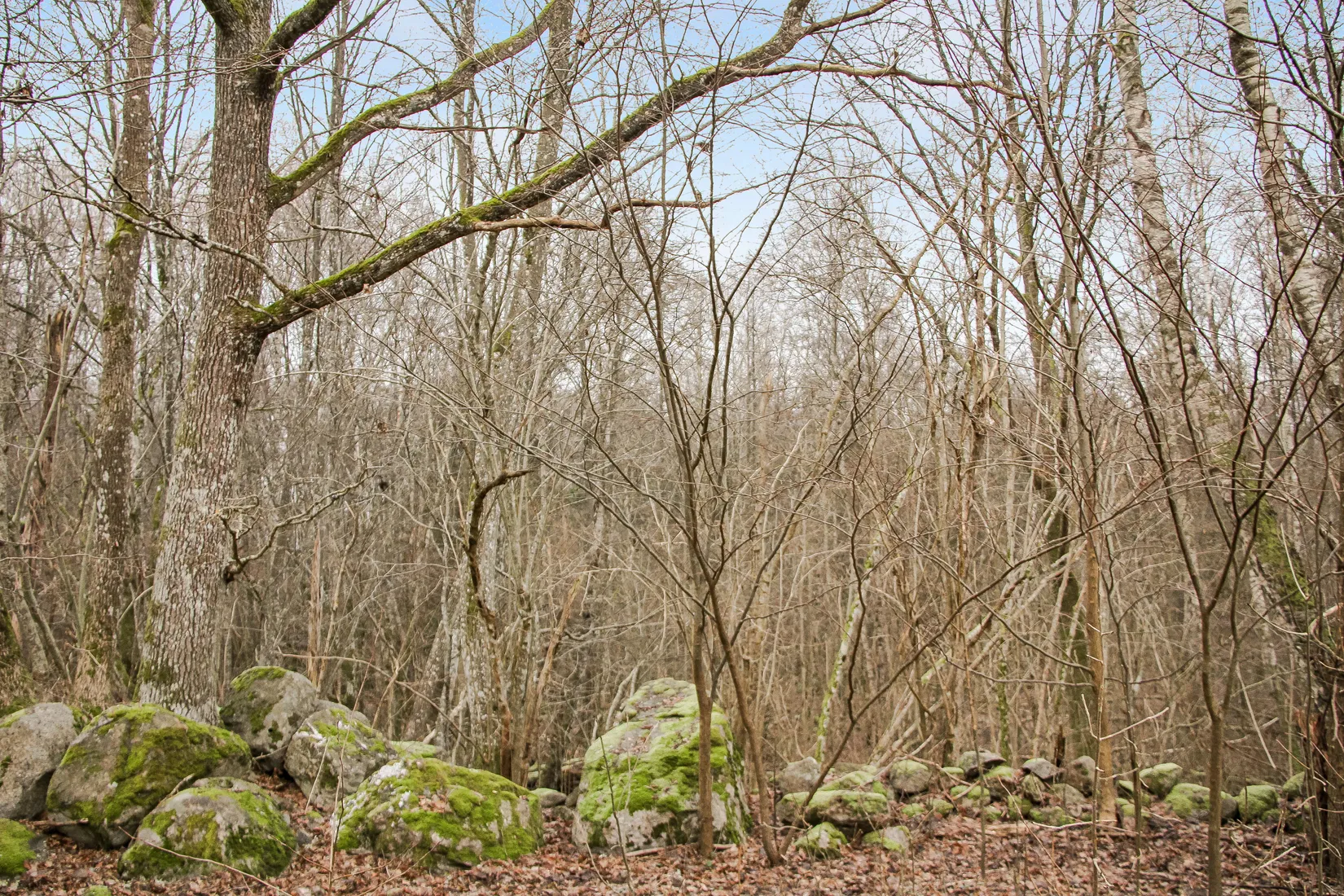 Gård/Skog, Hästveda, Hästveda, Hässleholm