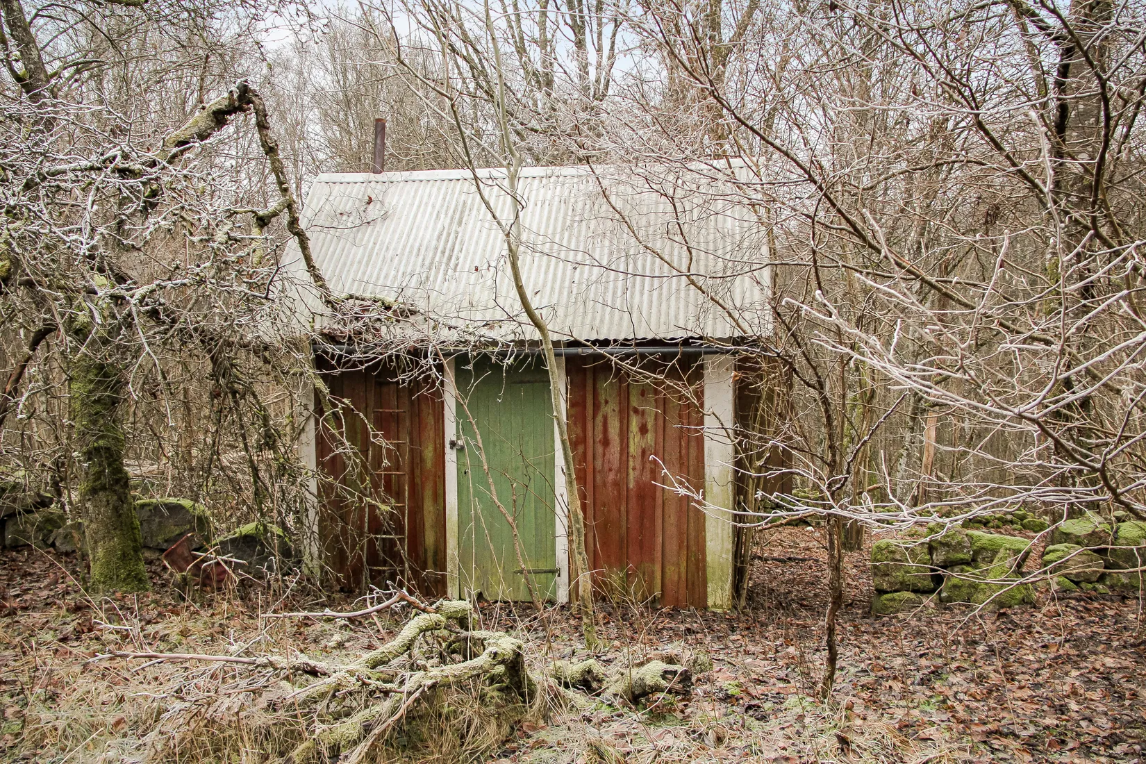 Gård/Skog, Hästveda, Hästveda, Hässleholm