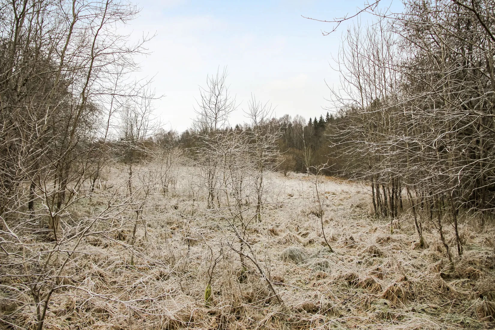 Gård/Skog, Hästveda, Hästveda, Hässleholm