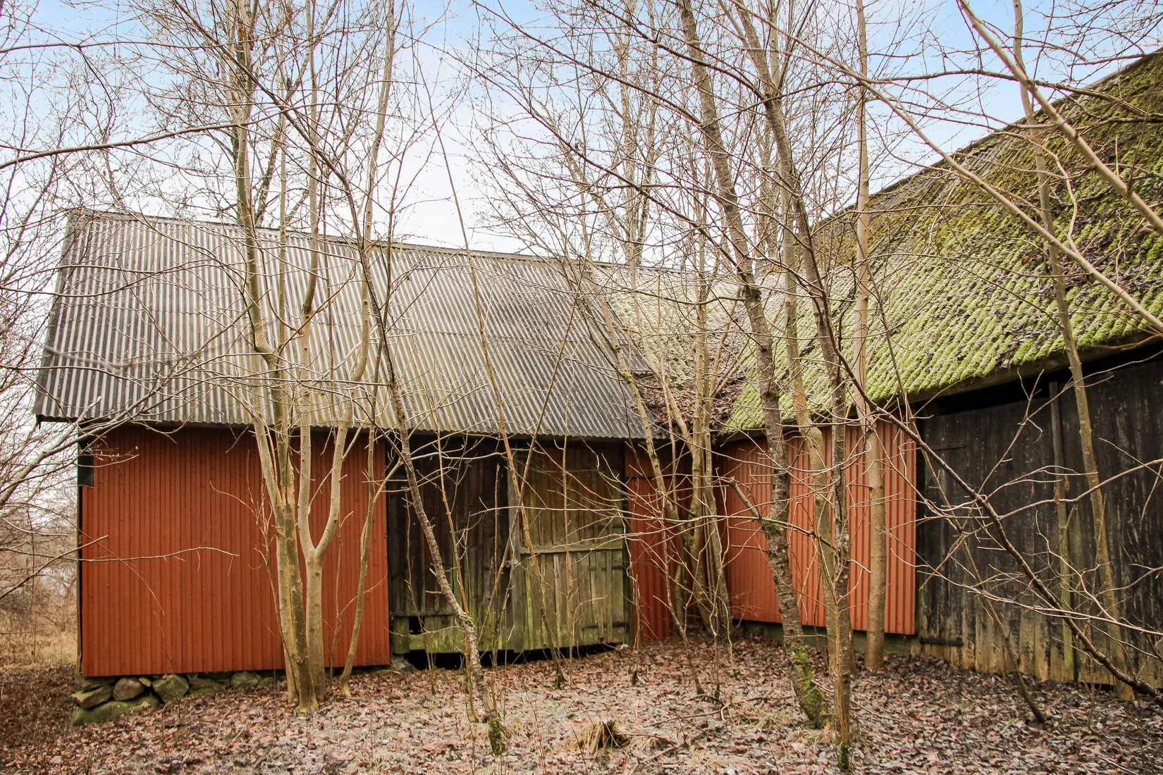 Gård/Skog, Hästveda, Hästveda, Hässleholm