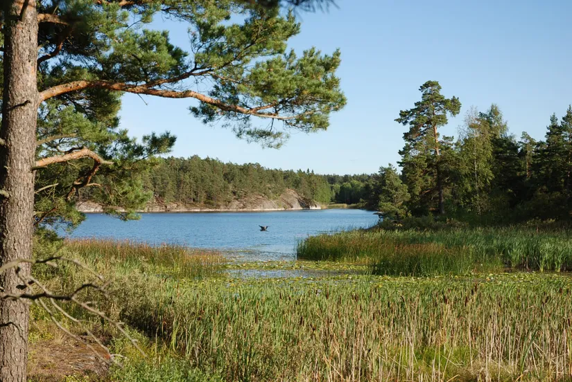 Bostadsrätt, Radhus, Hästhagsterrassen 16, Gustavsberg Hästhagen, Värmdö