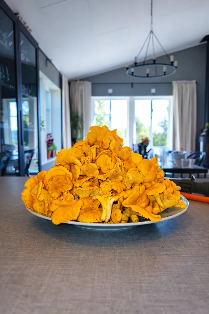 Villa, Styrsjöbo Hjeltgattu 17, Styrsjöbo , Leksand