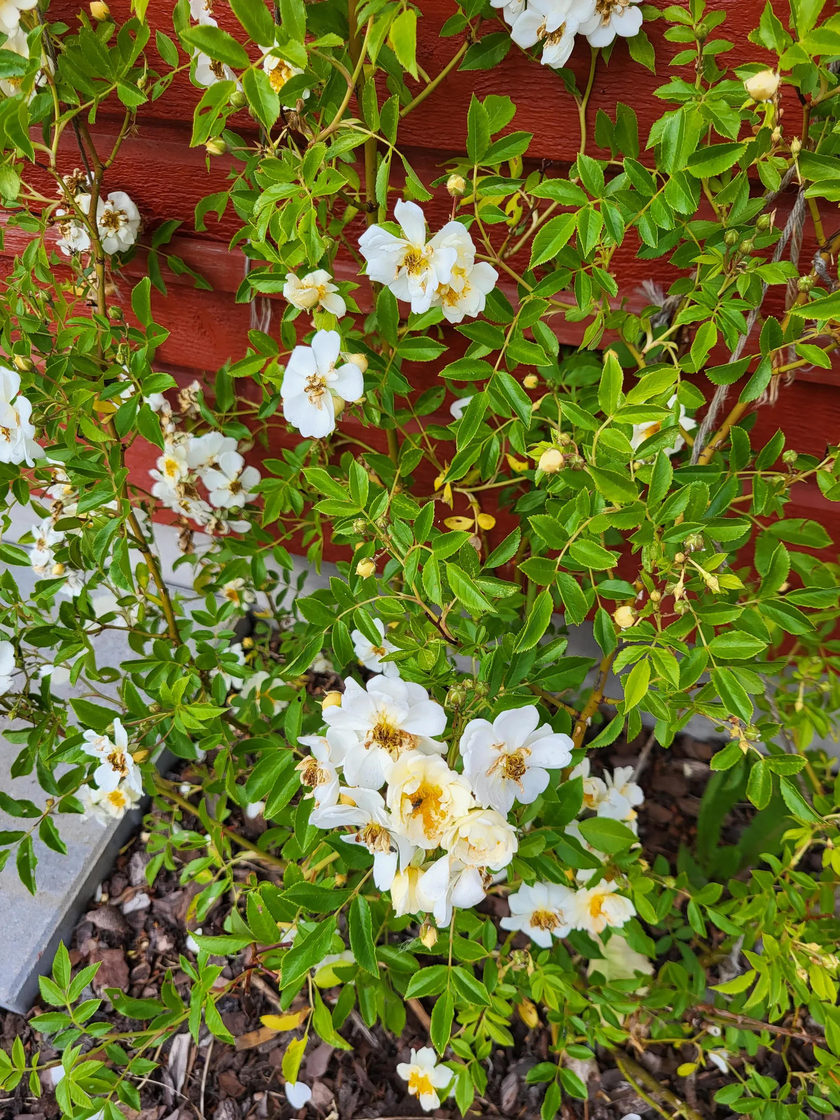 Villa, Styrsjöbo Hjeltgattu 17, Styrsjöbo , Leksand