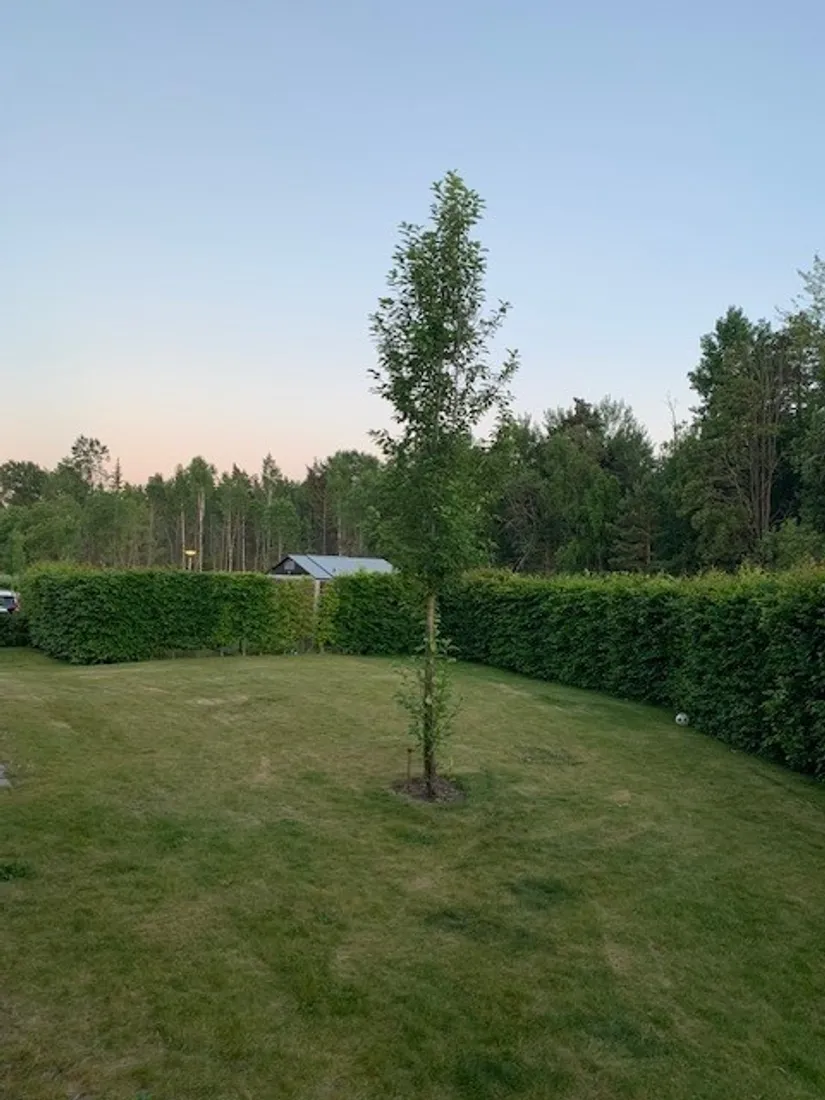 Bostadsrätt, Miklagårdsvägen 2B, Jursta Hage, Upplands-Bro