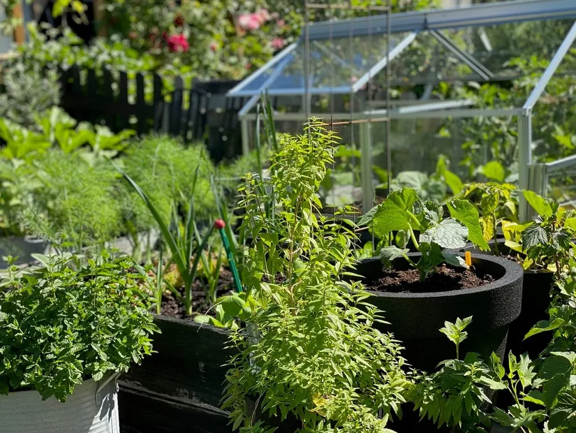 Bostadsrätt, Radhus, Sörgårdsvägen 133, Åkersberga Centrum, Österåker