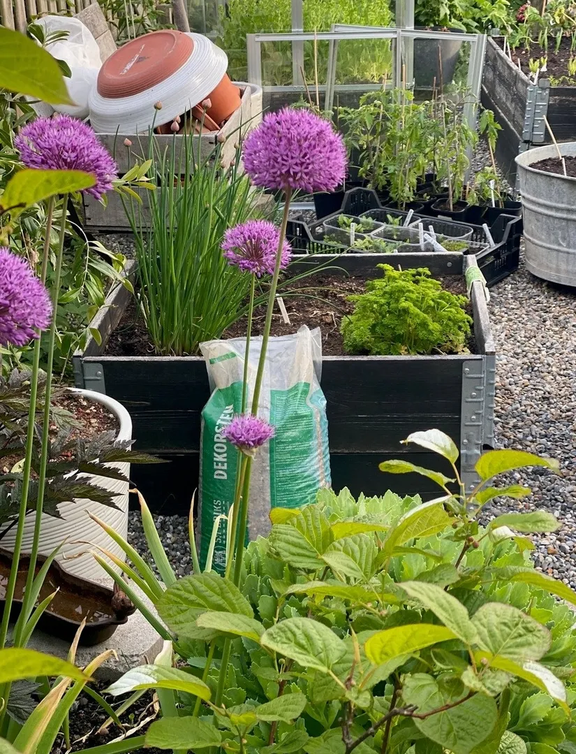 Bostadsrätt, Radhus, Sörgårdsvägen 133, Åkersberga Centrum, Österåker