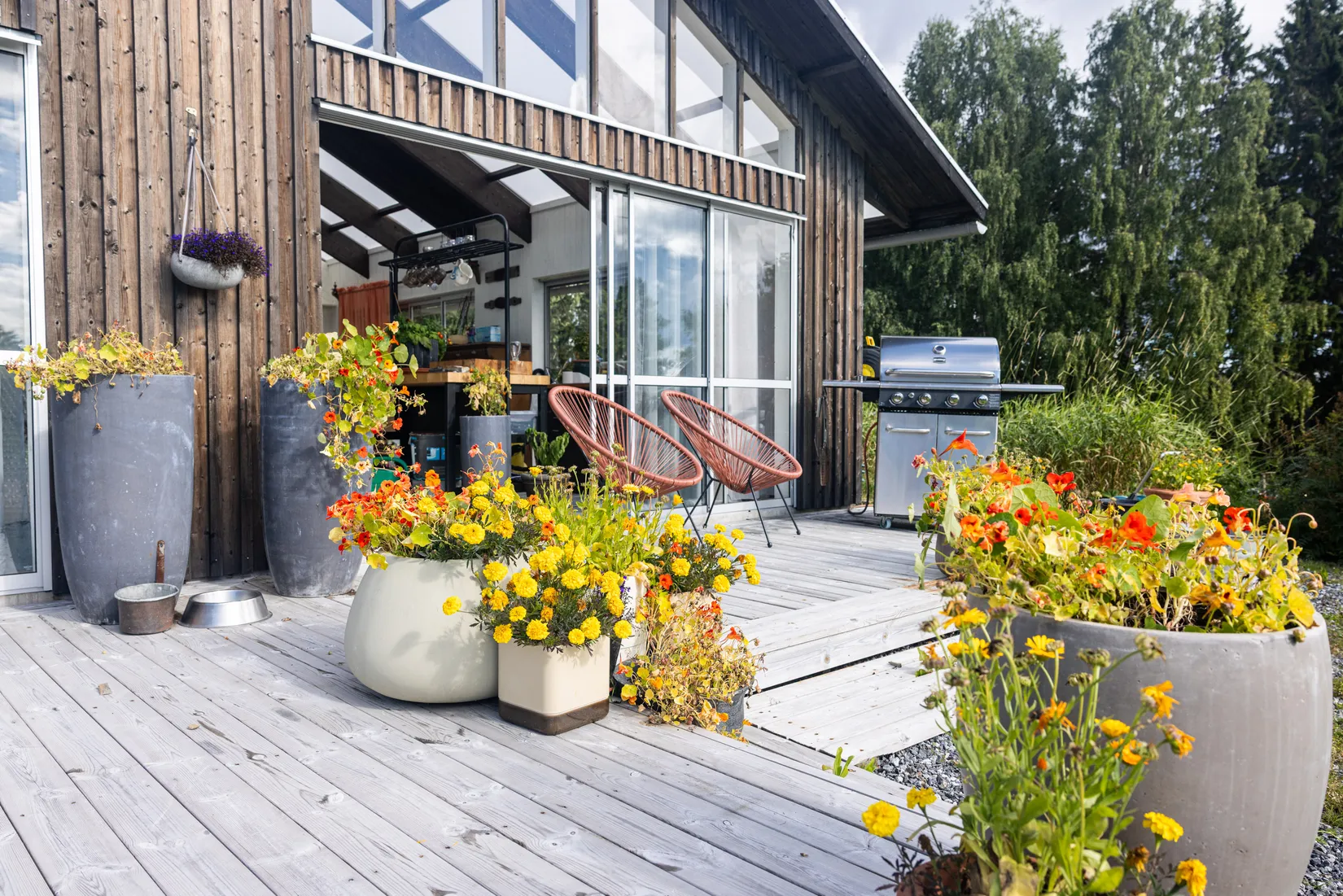 Gård/Skog, Västra Pengfors 21, Vännäs