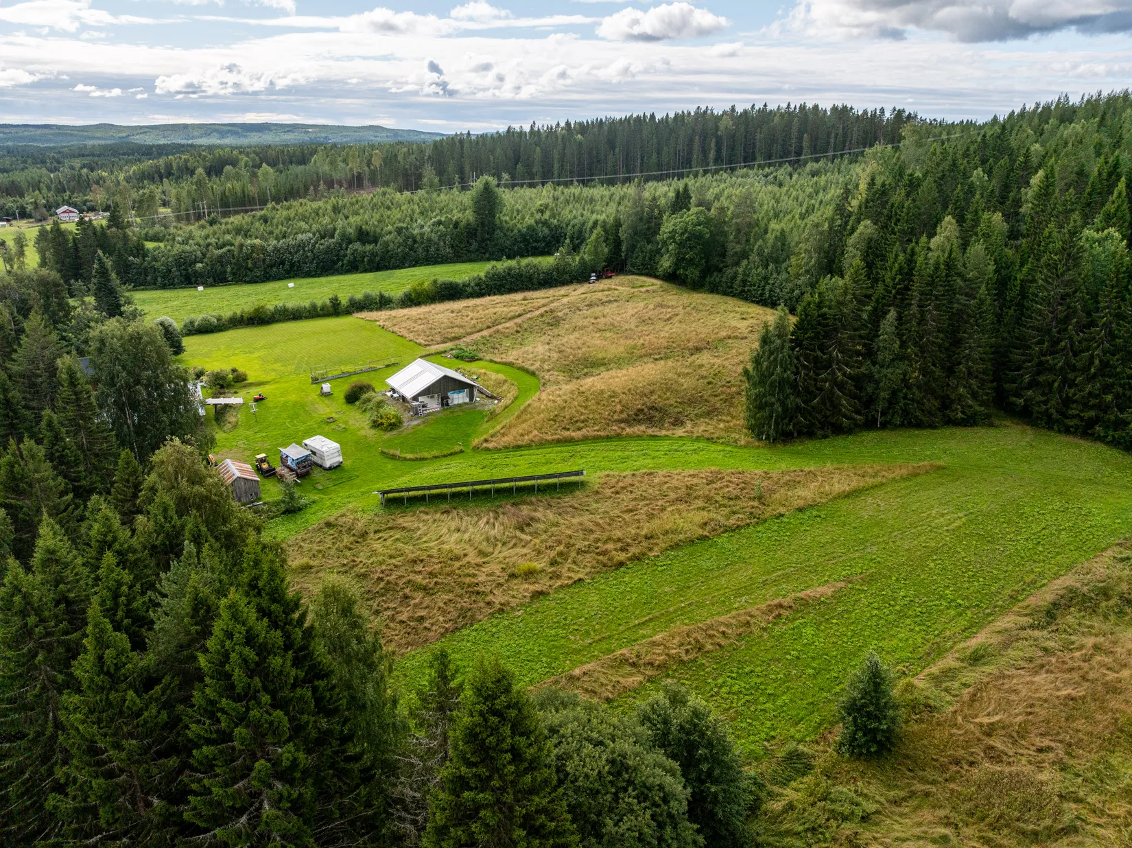 Gård/Skog, Västra Pengfors 21, Vännäs