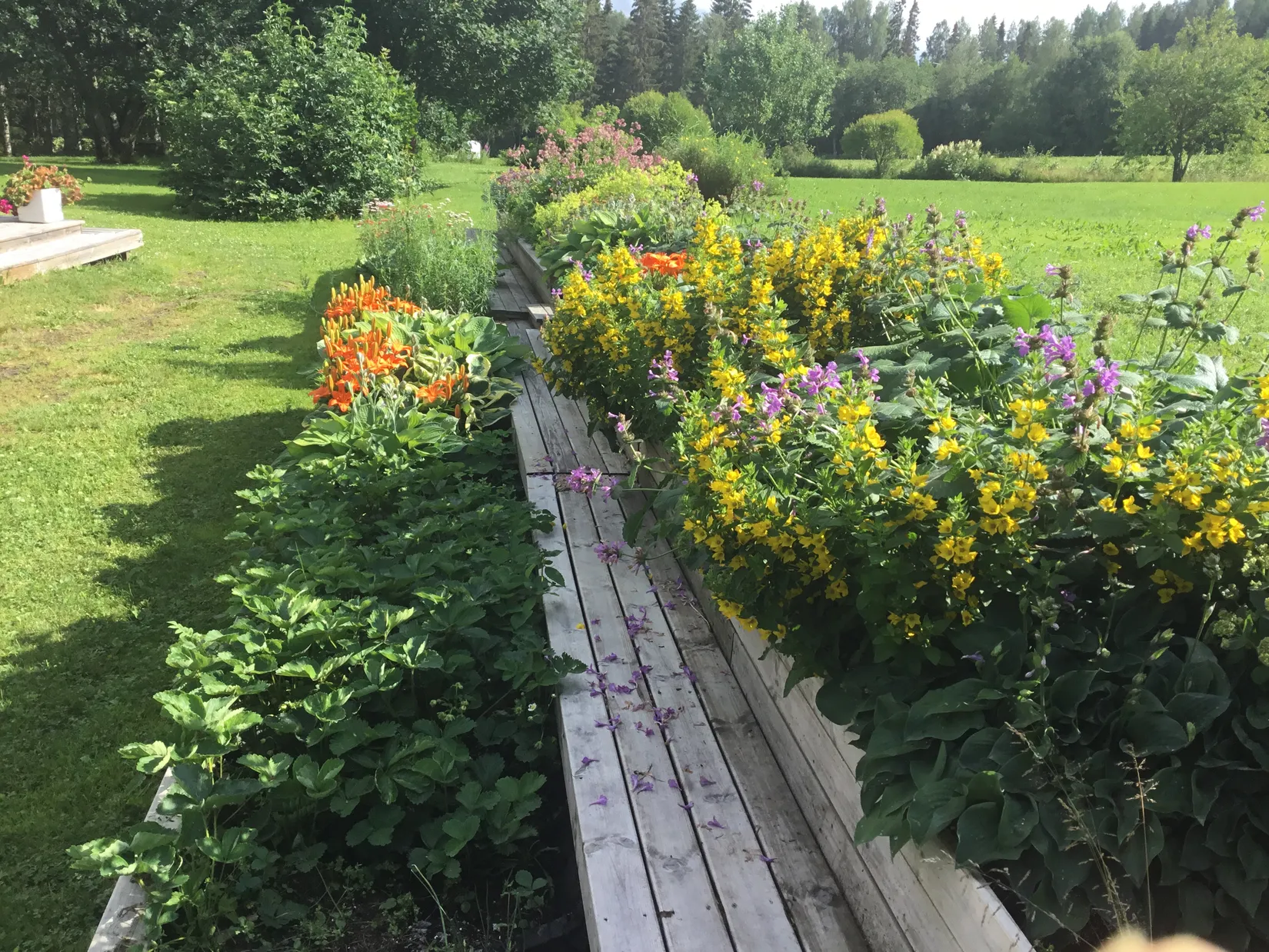 Gård/Skog, Västra Pengfors 21, Vännäs