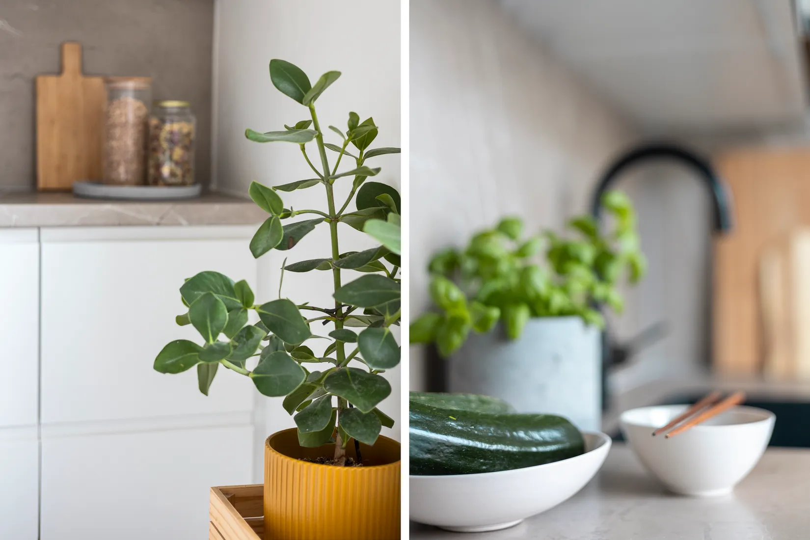 Bostadsrätt, Berguvsgatan 4B, Malmö