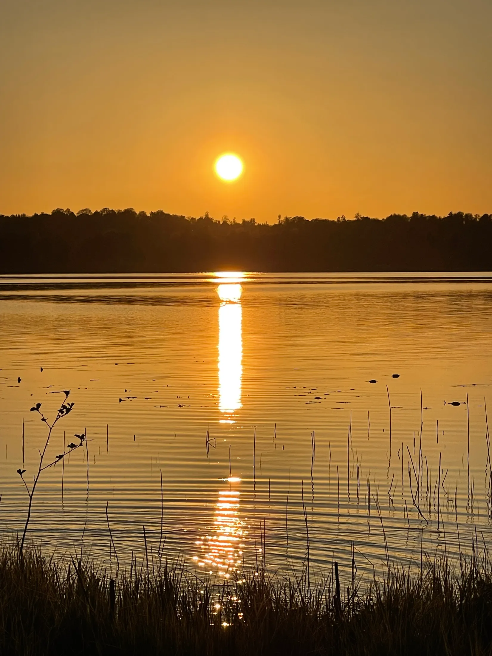 Fritidshus, Vings aspanäs 150, Hökerum