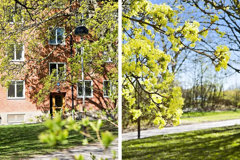 Bostadsrätt, Kakelvägen 8A, Väster, Lund