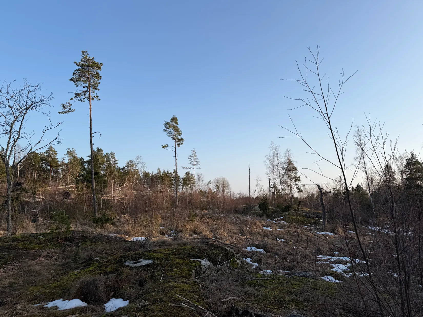Gård/Skog, Stora Åkerbyvägen 61, Gottröra, Norrtälje