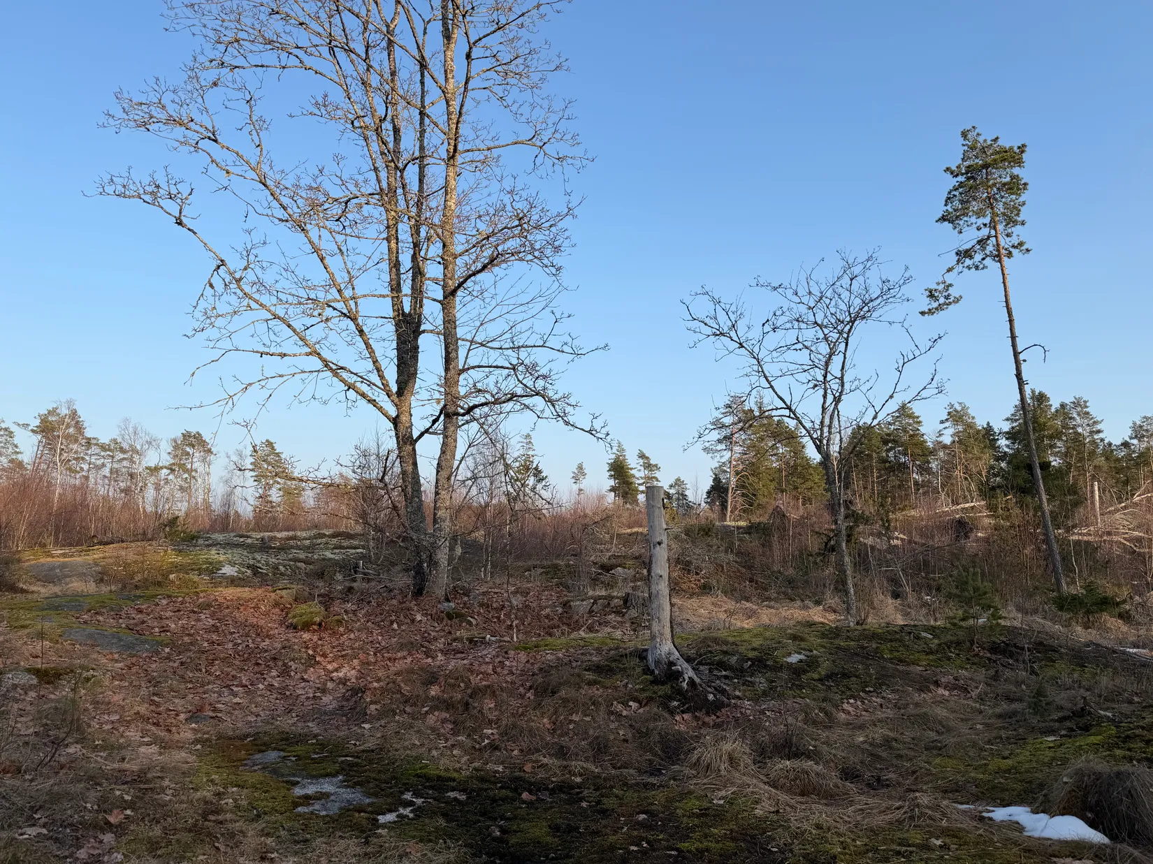 Gård/Skog, Stora Åkerbyvägen 61, Gottröra, Norrtälje