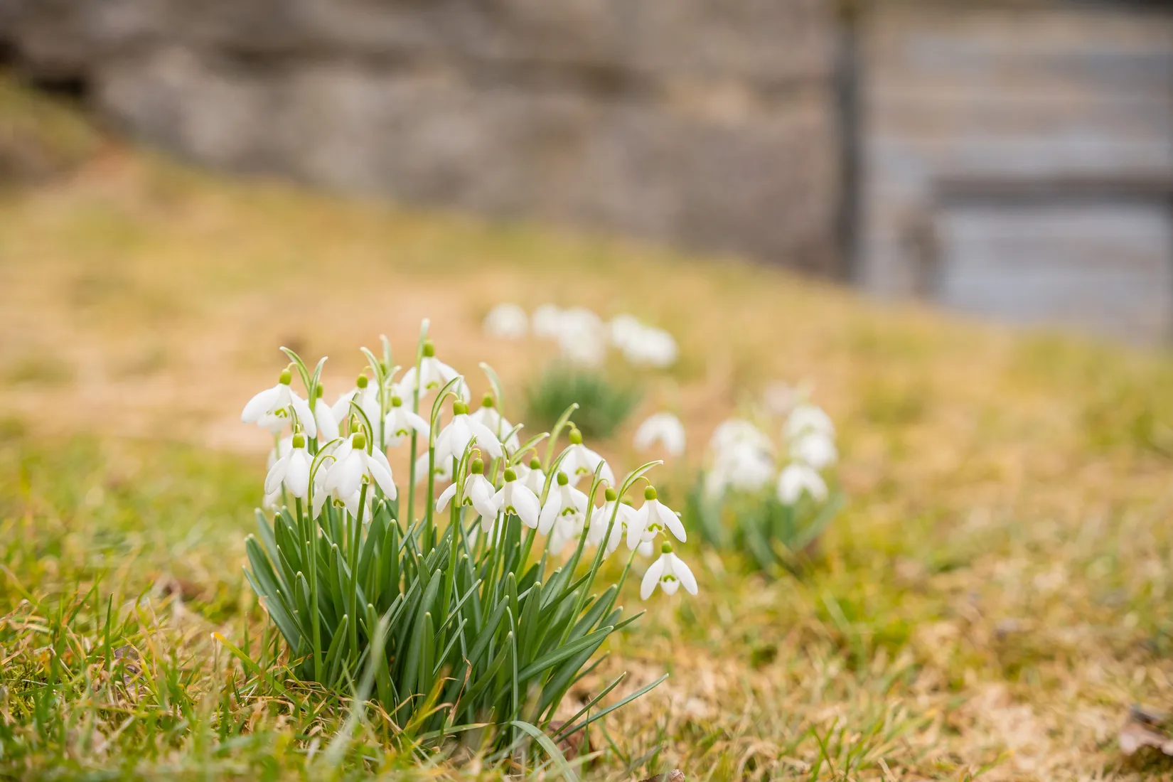 Villa, Norsholmsvägen 26, Norsholm, Norrköping