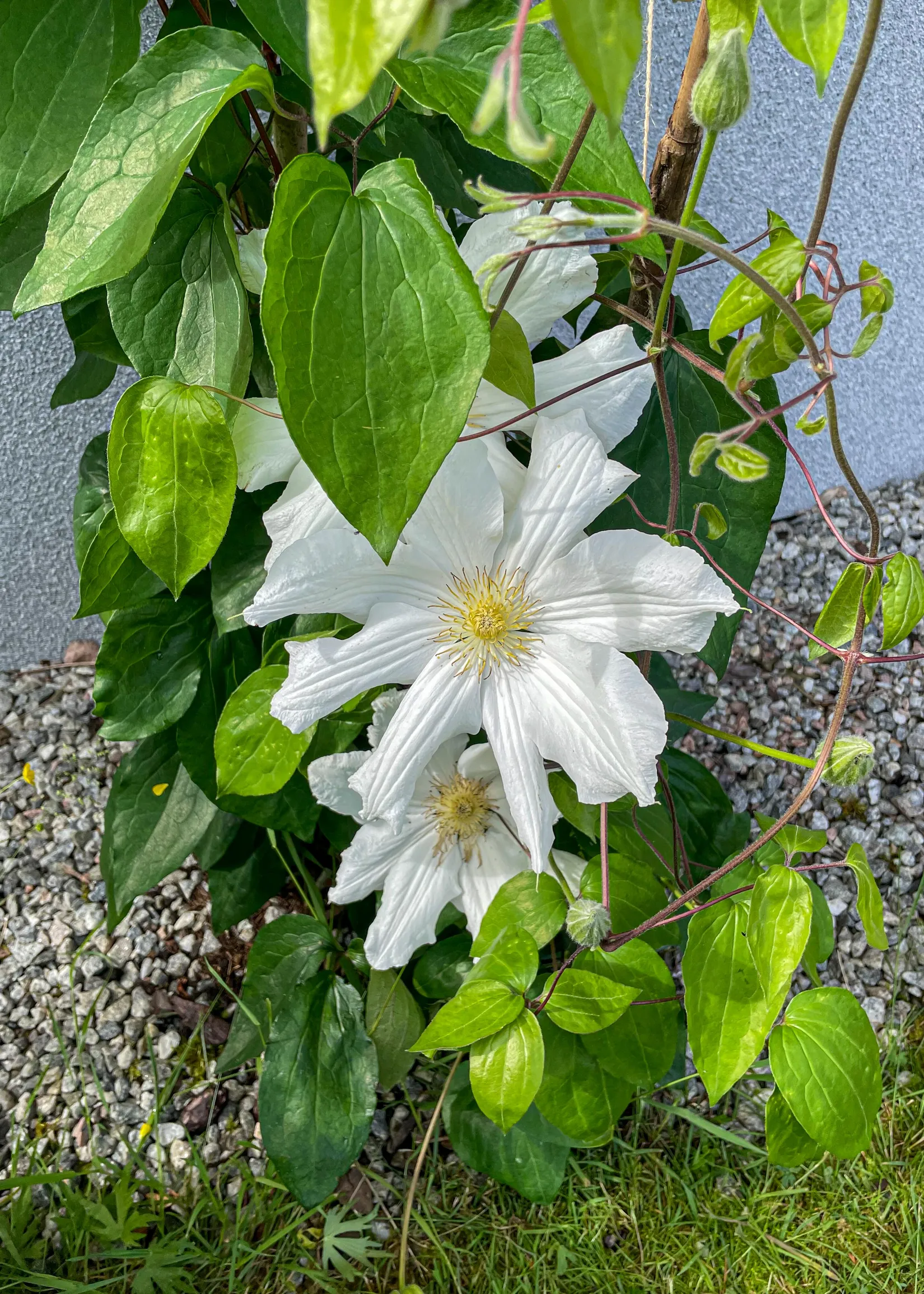 Fritidshus, Sjöhagsvägen 9, Fagersta