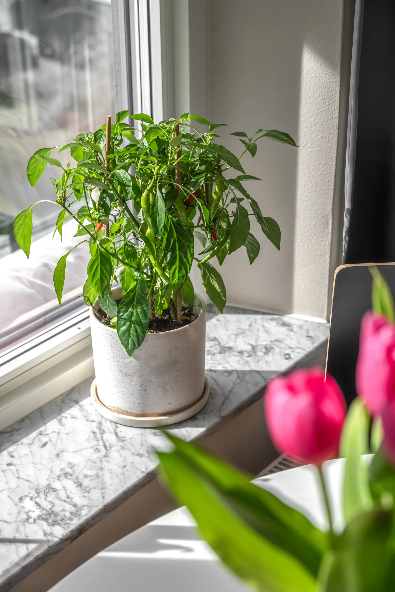 Bostadsrätt, Ebbe Lieberathsgatan 16C, Johanneberg - Almedal, Göteborg