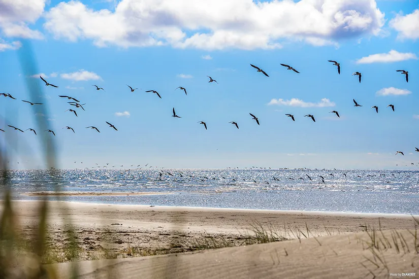 Fritidshus, Markelagsvägen 3, Björkäng, Varberg