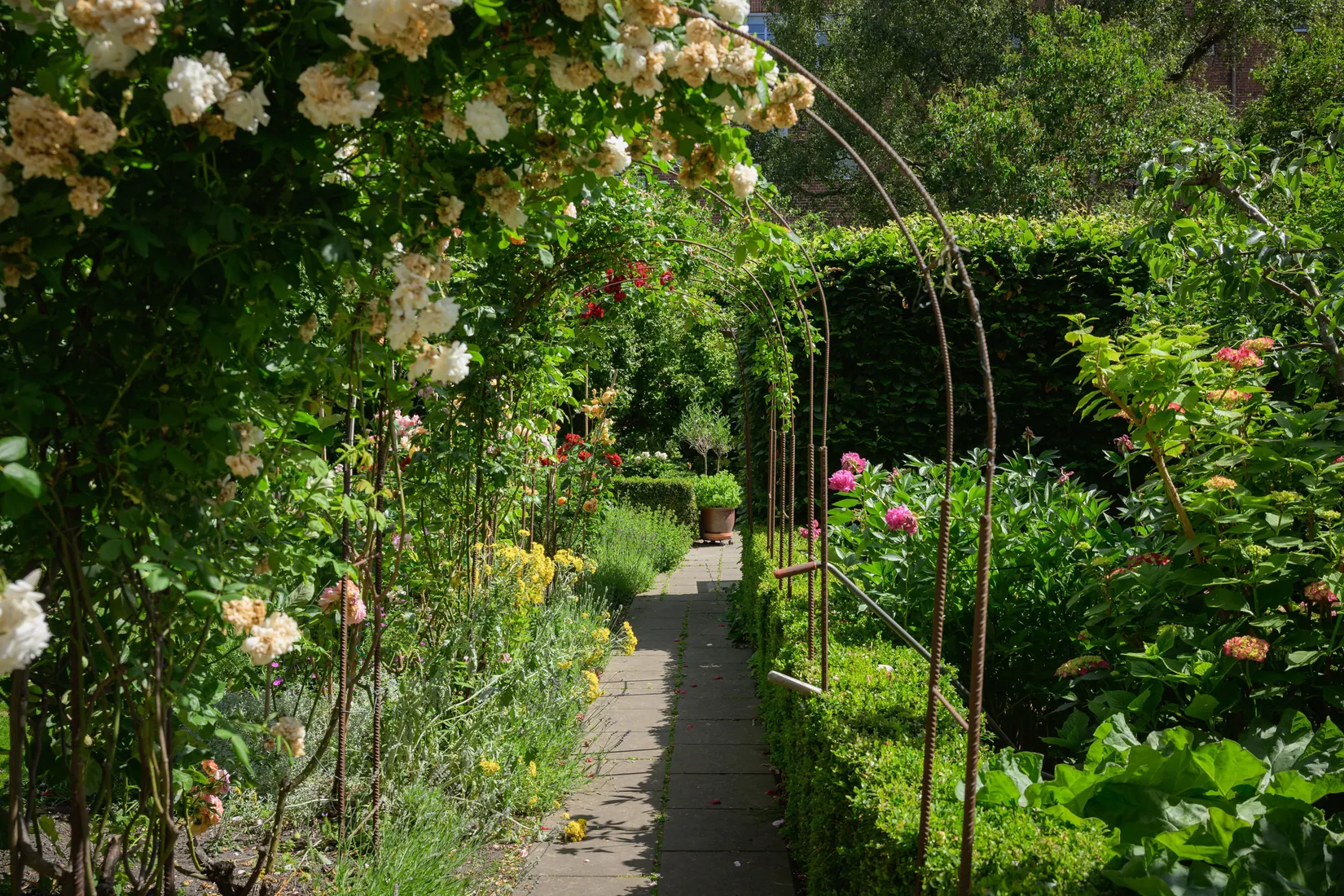 Bostadsrätt, Andréegatan 8, Rörsjöstaden, Malmö