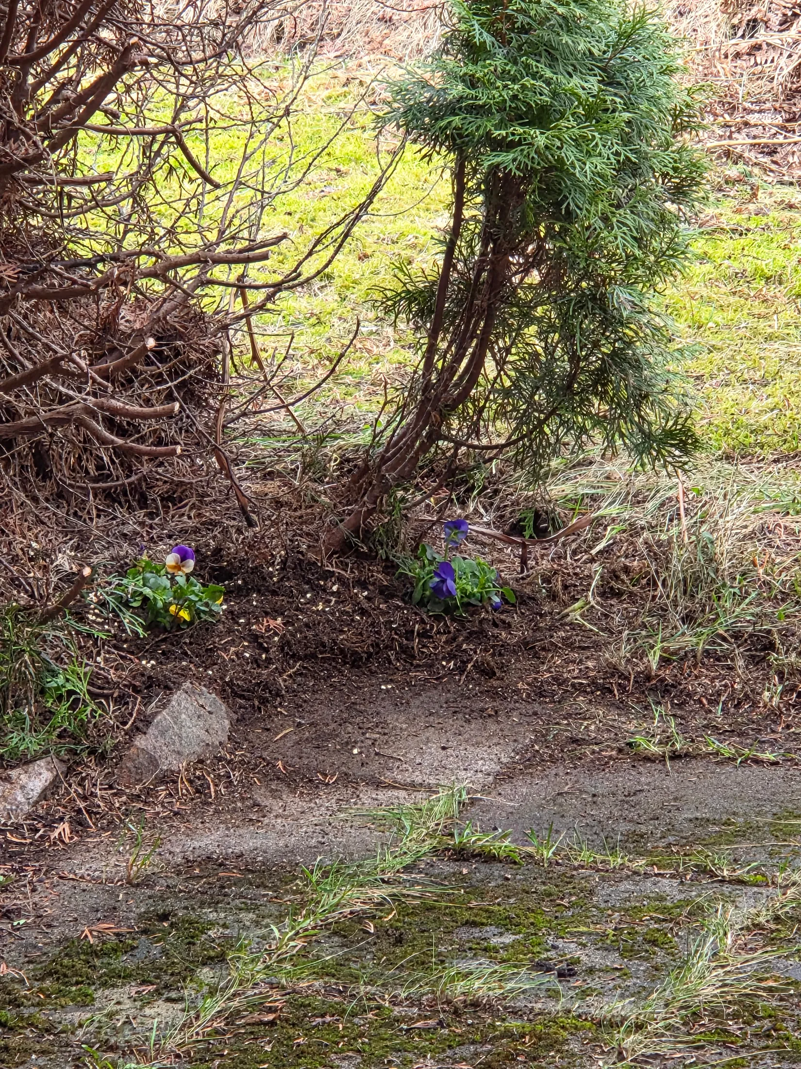 Bostadsrätt, Sköttmors väg 17E, Skräddarbacken, Borlänge