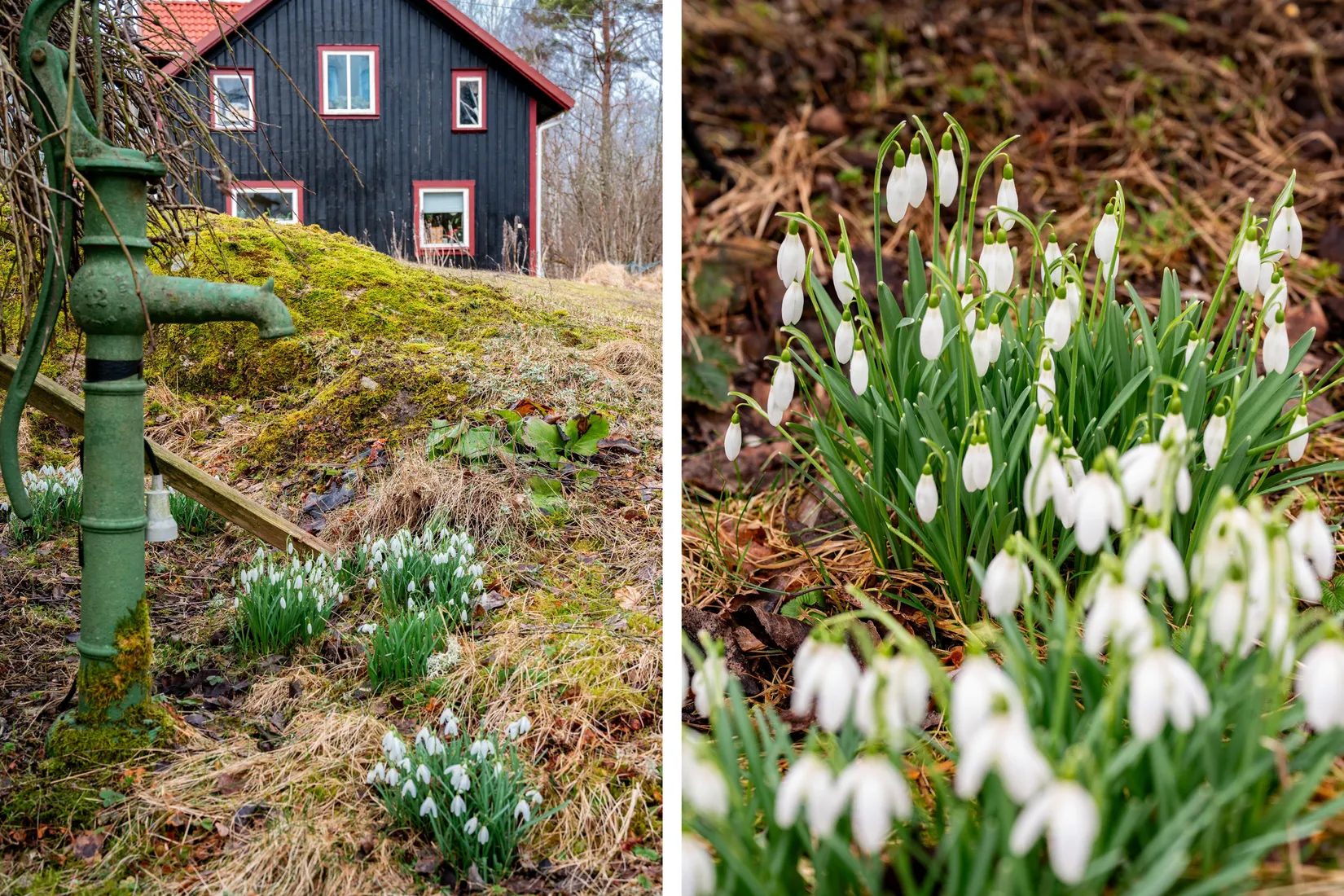 Villa, Tosseviken 5, Fåglavik, Herrljunga