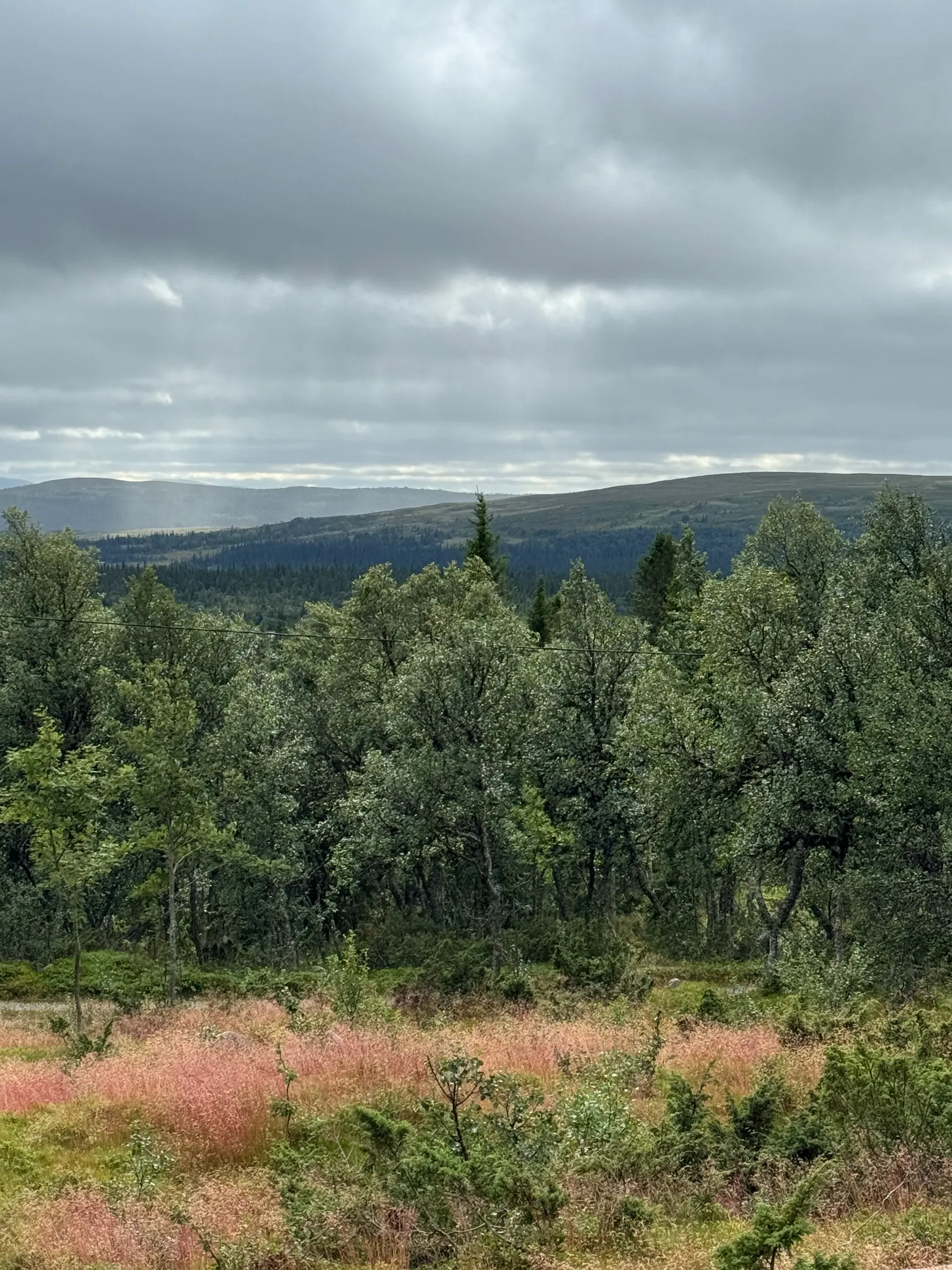 Tomt, Arådalen Gamla renstigen 113, Arådalen, Berg