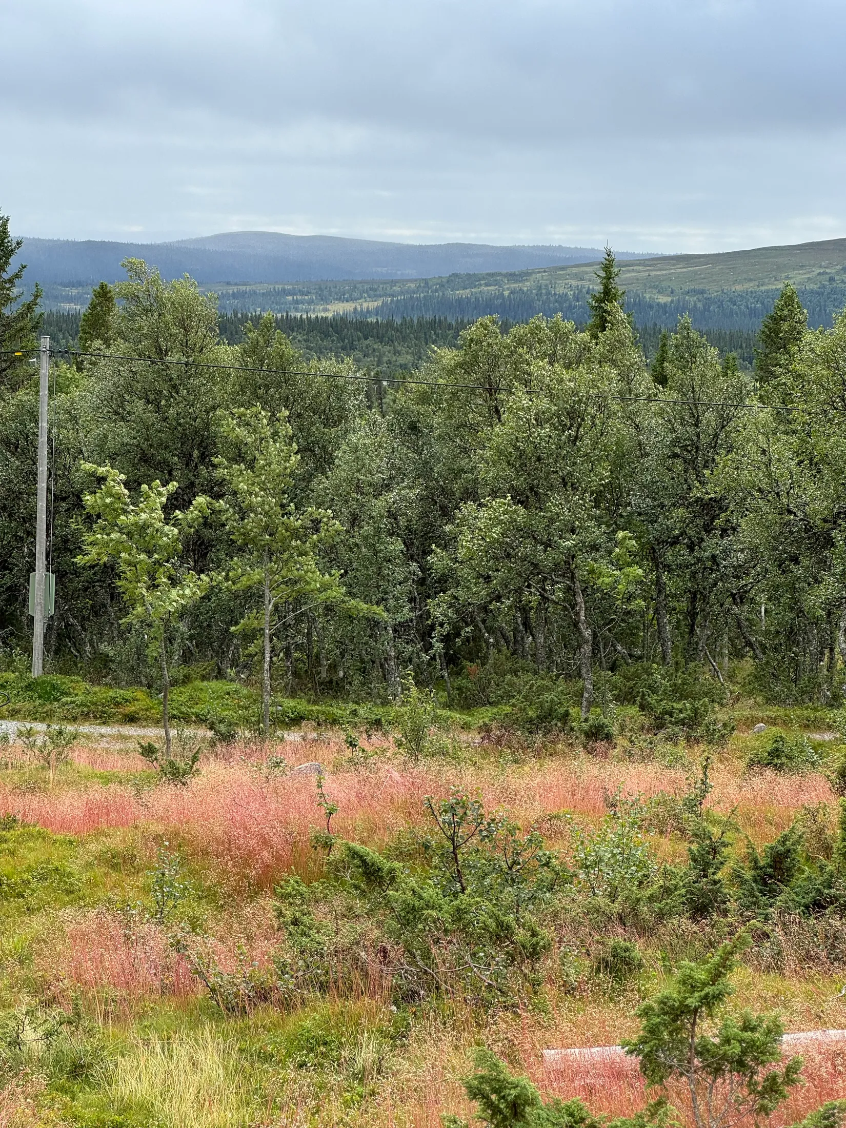 Tomt, Arådalen Gamla renstigen 113, Arådalen, Berg