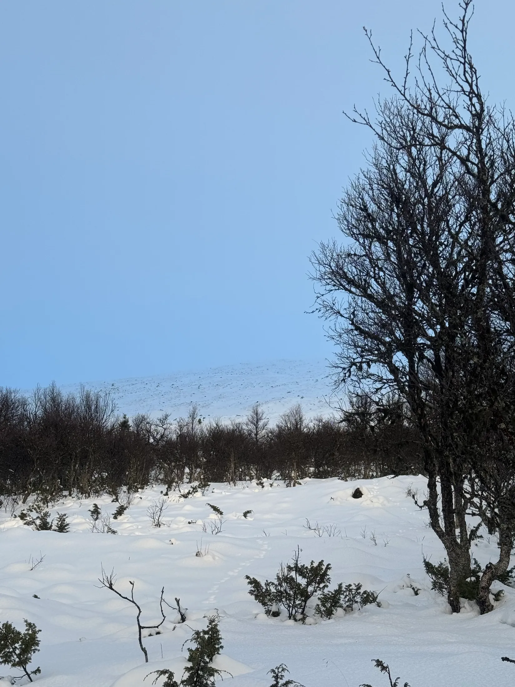 Tomt, Arådalen Gamla renstigen 113, Arådalen, Berg