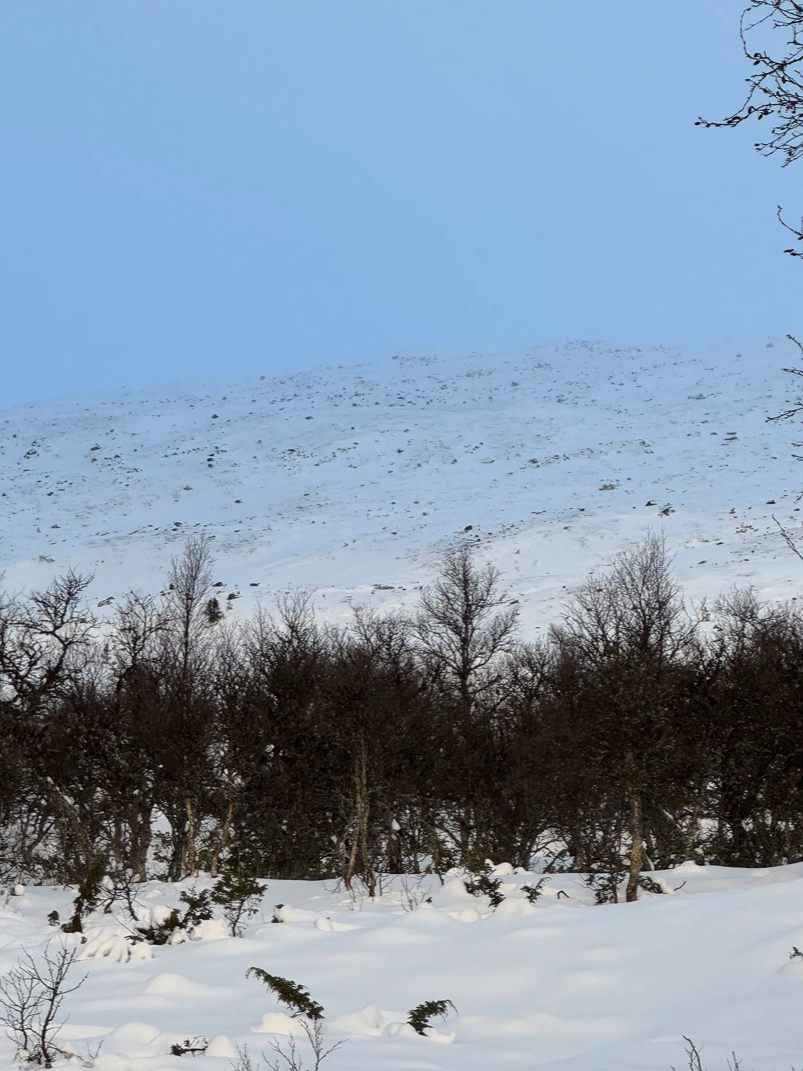 Tomt, Arådalen Gamla renstigen 113, Arådalen, Berg