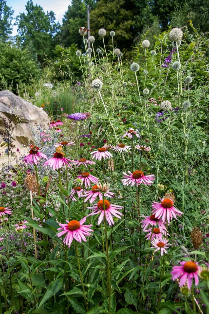 Villa, Blåbärsbacken 20, Skäralid, Klippan