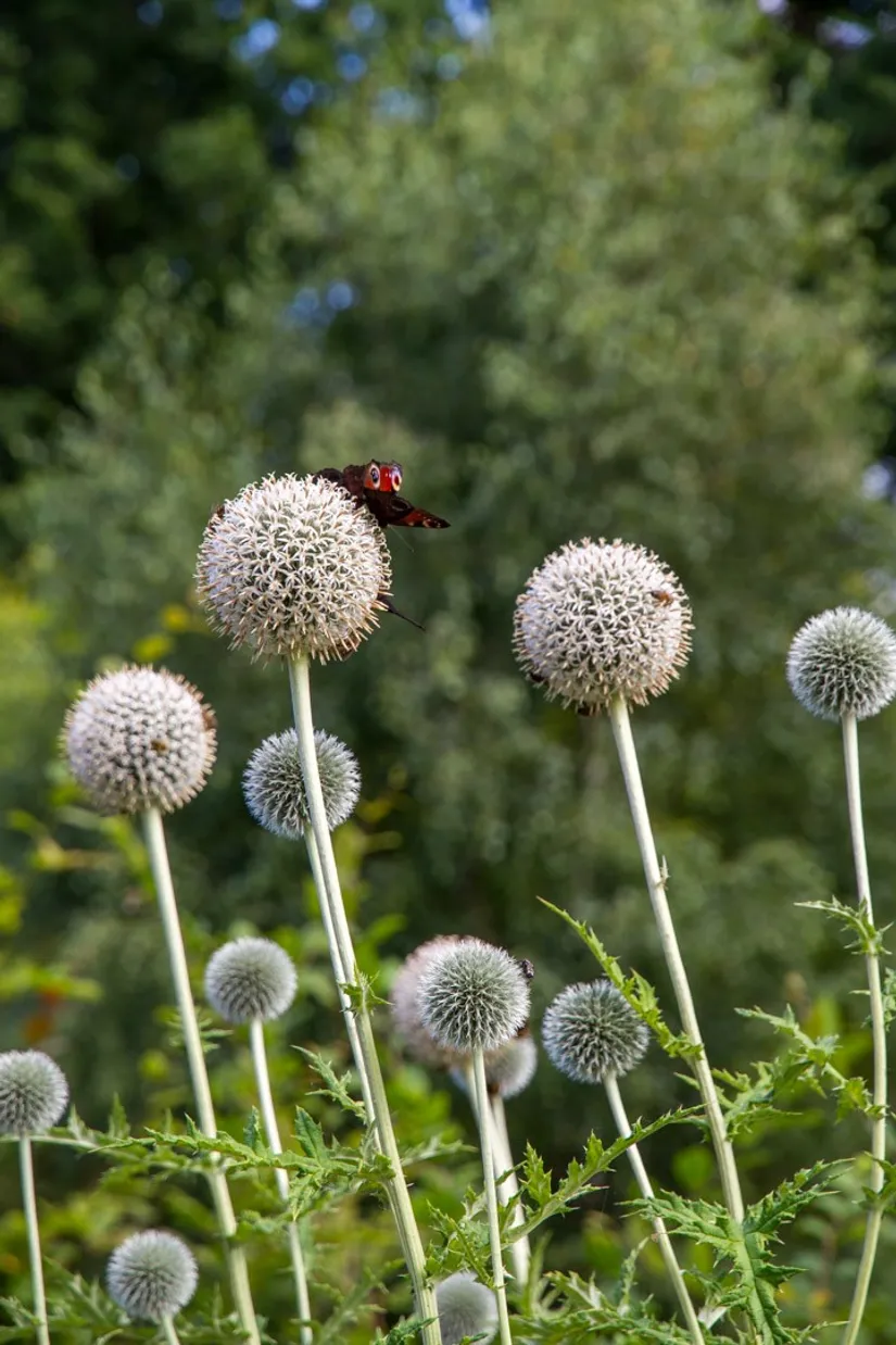 Villa, Blåbärsbacken 20, Skäralid, Klippan