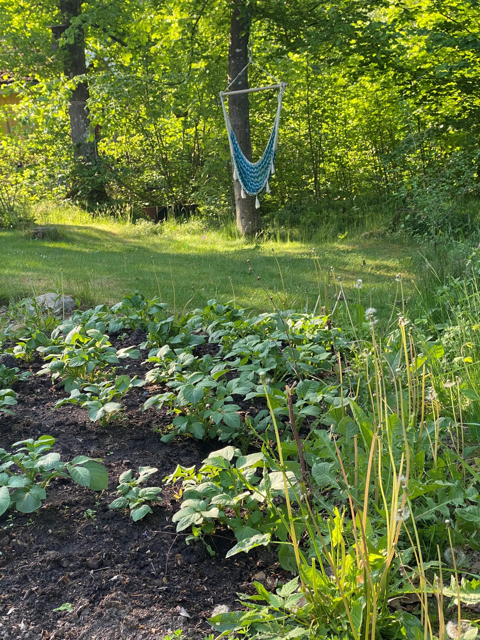 Villa, Blåbärsbacken 20, Skäralid, Klippan