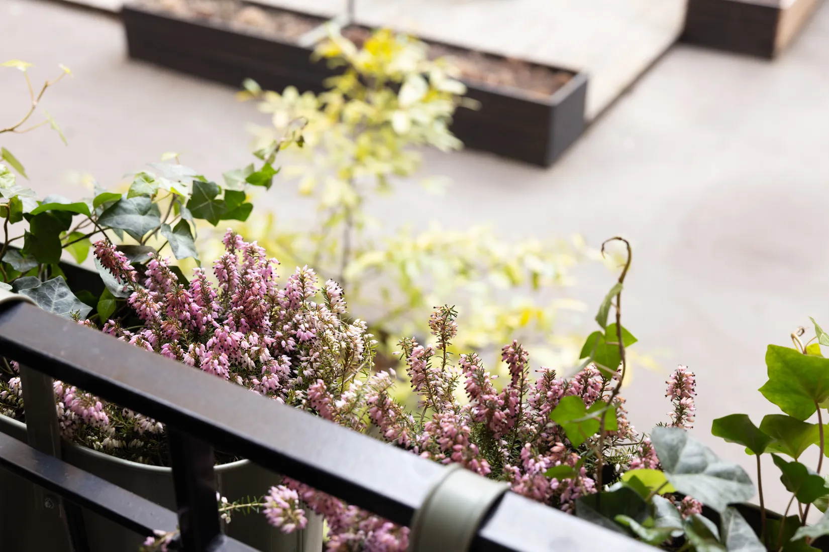 Bostadsrätt, Norra Agnegatan 40, Kungsholmen, Stockholm