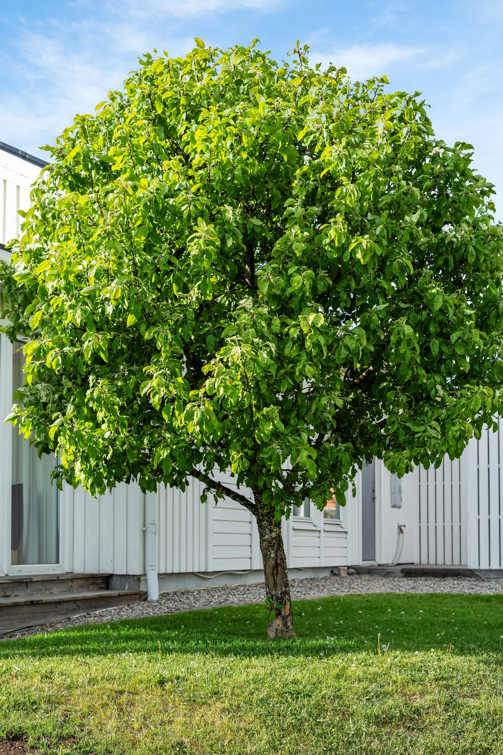 Villa, Ubåtsvägen 22, Alnö, Sundsvall
