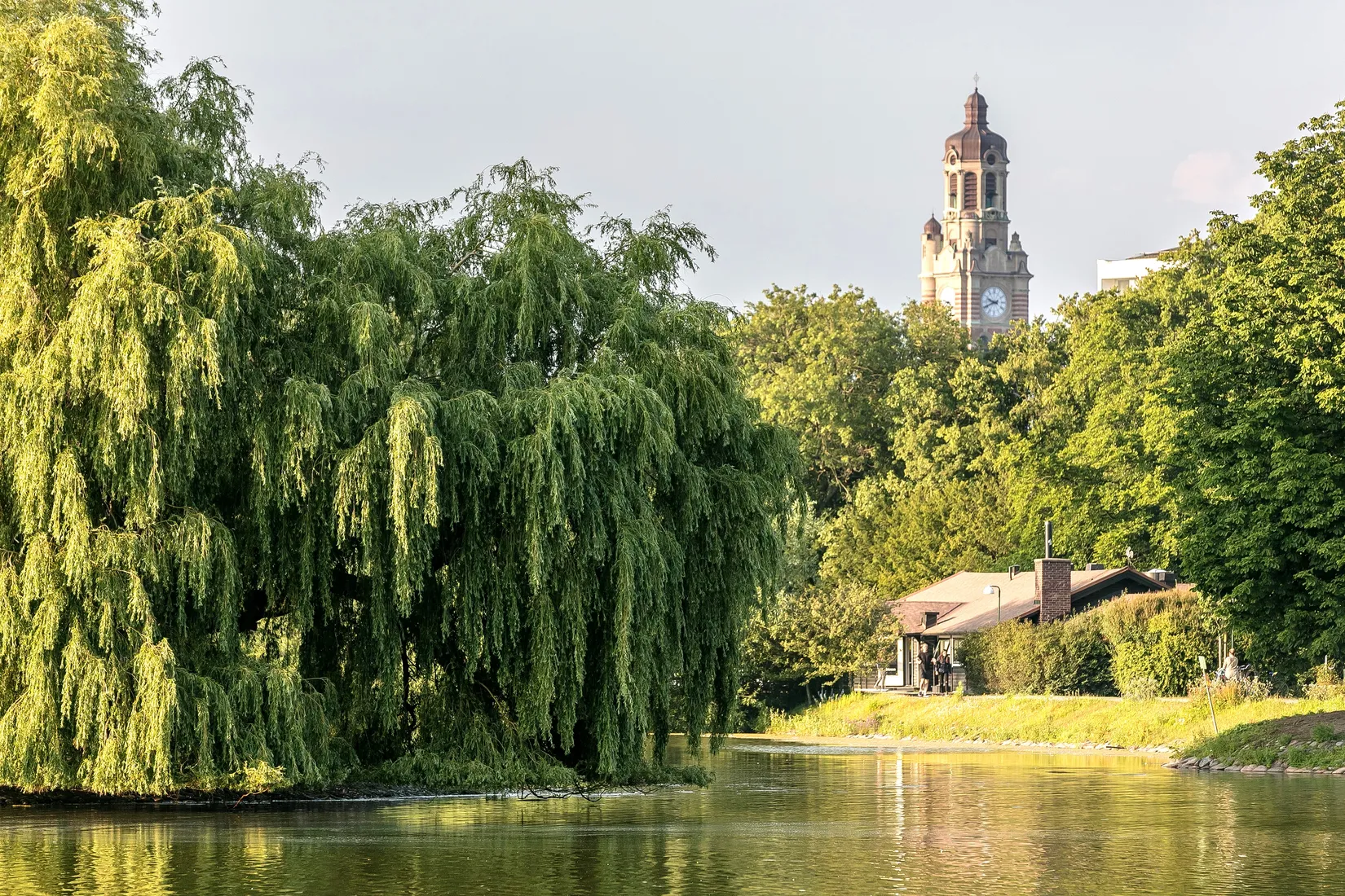 Bostadsrätt, Randersvägen 24A, Dammfri, Malmö
