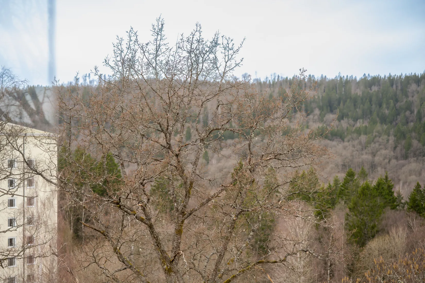 Bostadsrätt, Norra Sjöbogatan 53, Sjöbo, Borås