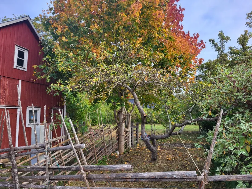 Villa, Skolkvior 3, Klintehamn samhälle, Gotland