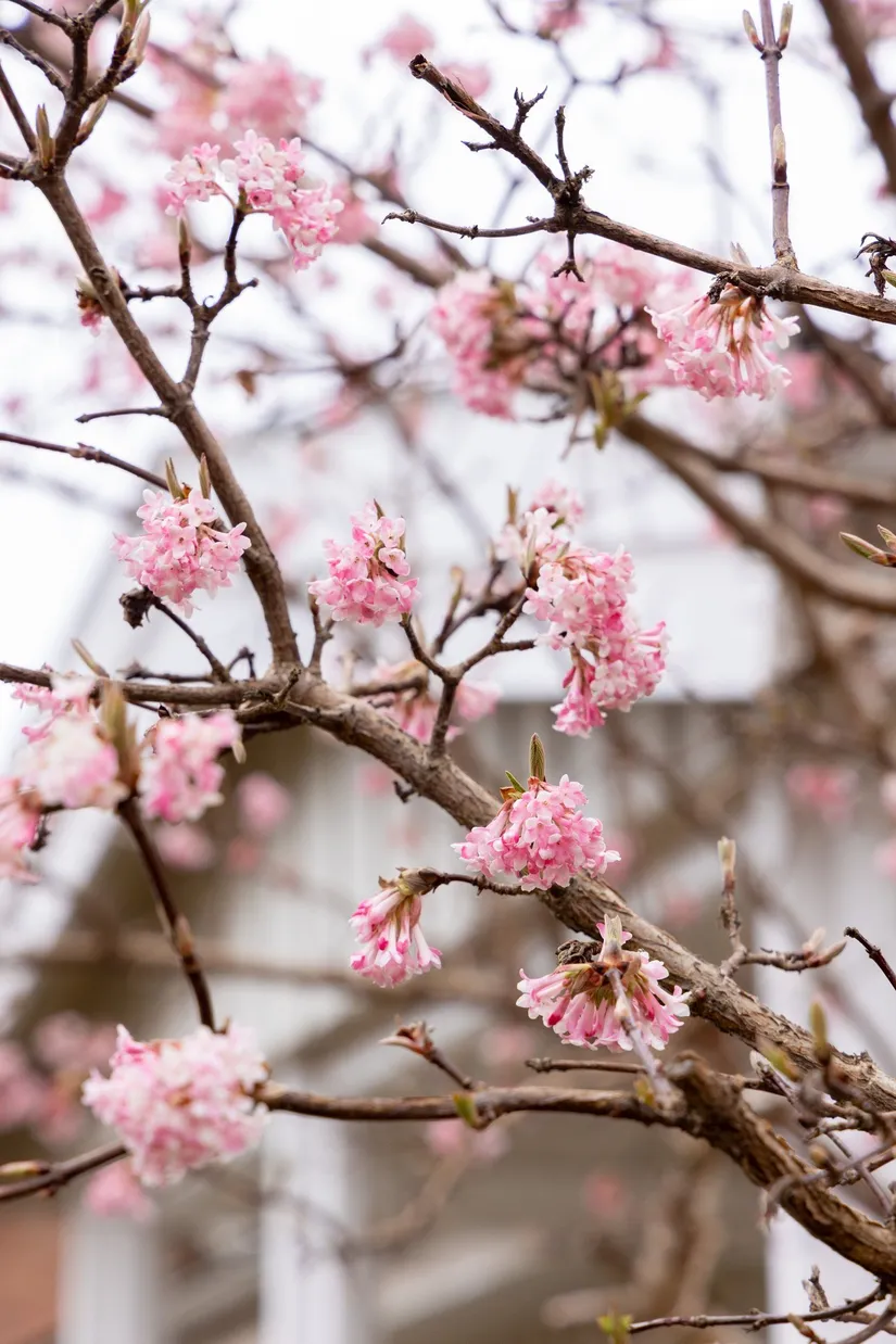 Villa, Flatmejselvägen 8, Vånevik, Oskarshamn