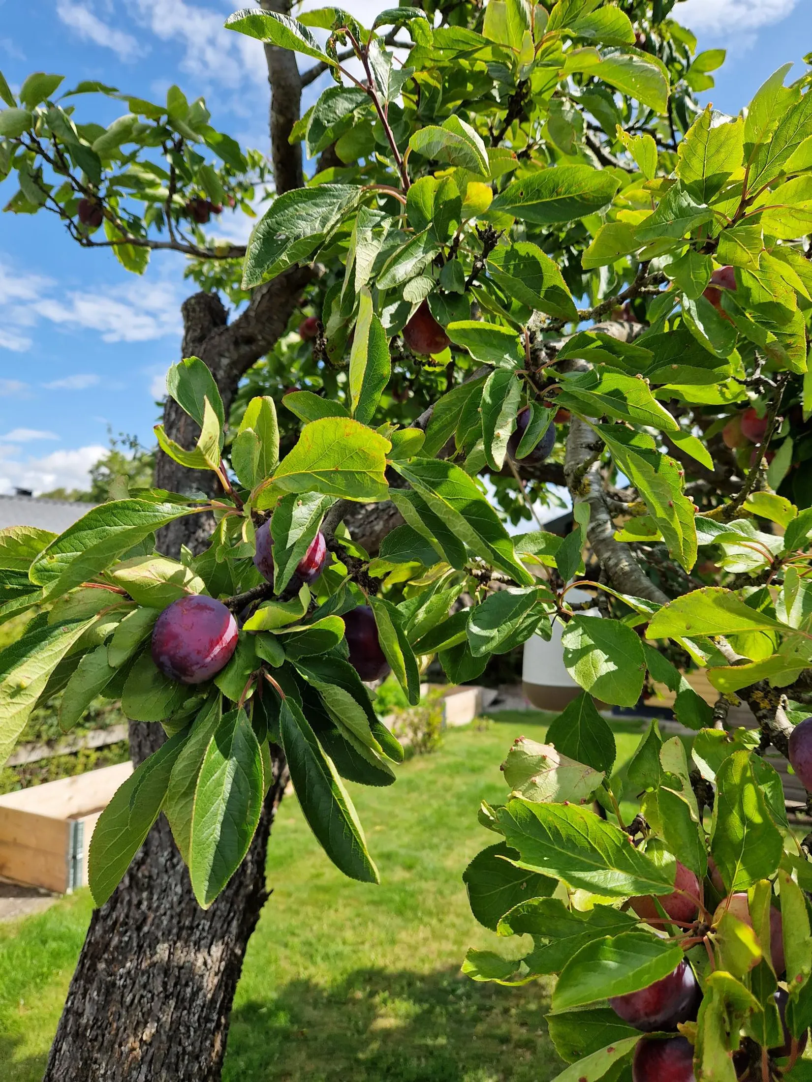 Fritidshus, Gång g 11, Landskrona