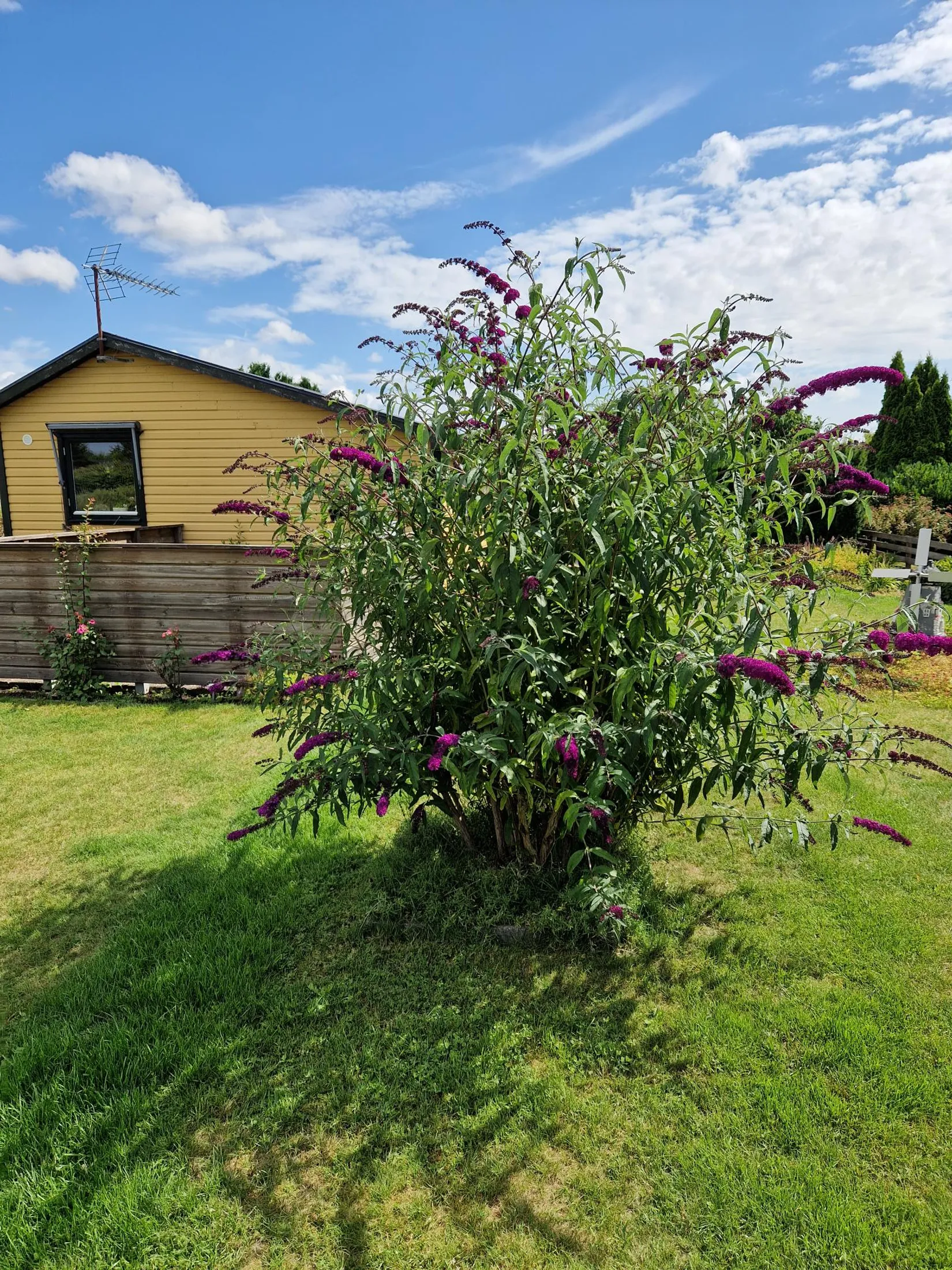 Fritidshus, Gång g 11, Landskrona