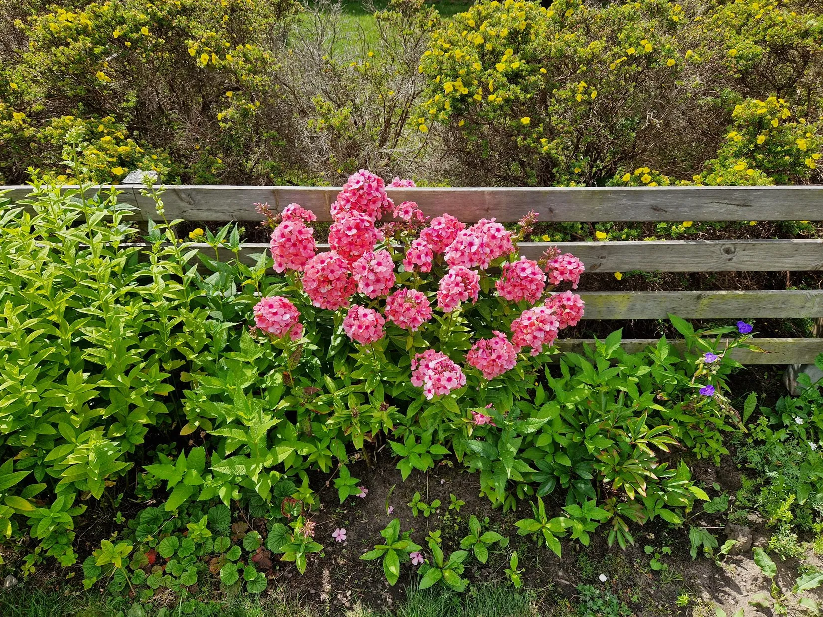Fritidshus, Gång g 11, Landskrona
