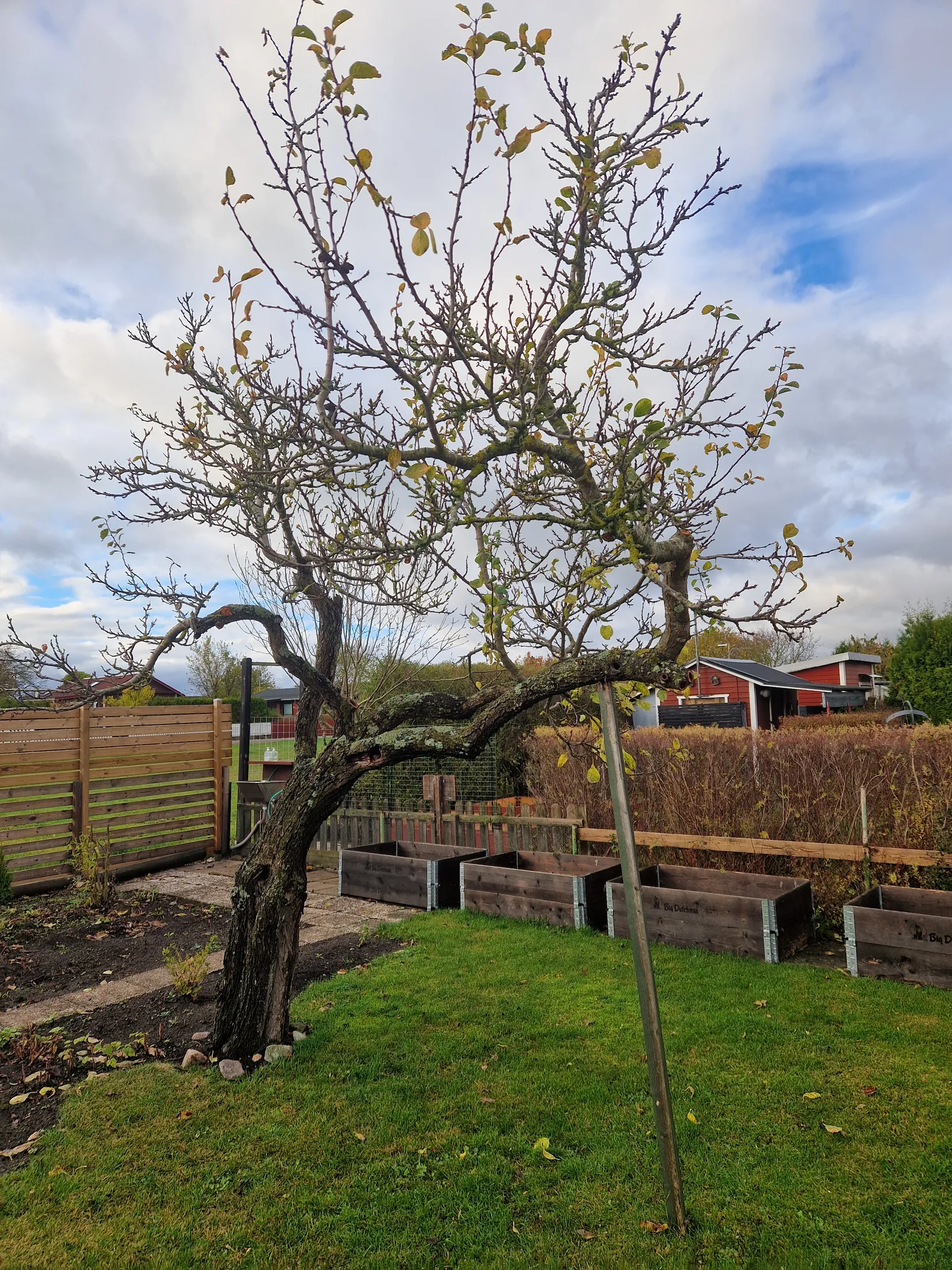 Fritidshus, Gång g 11, Landskrona