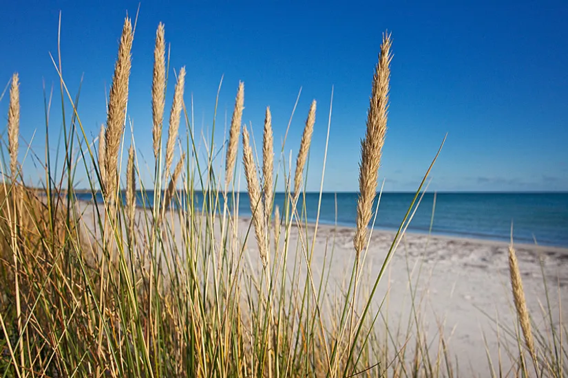 Bostadsrätt, Clemensagervägen 3D, Falsterbo, Vellinge