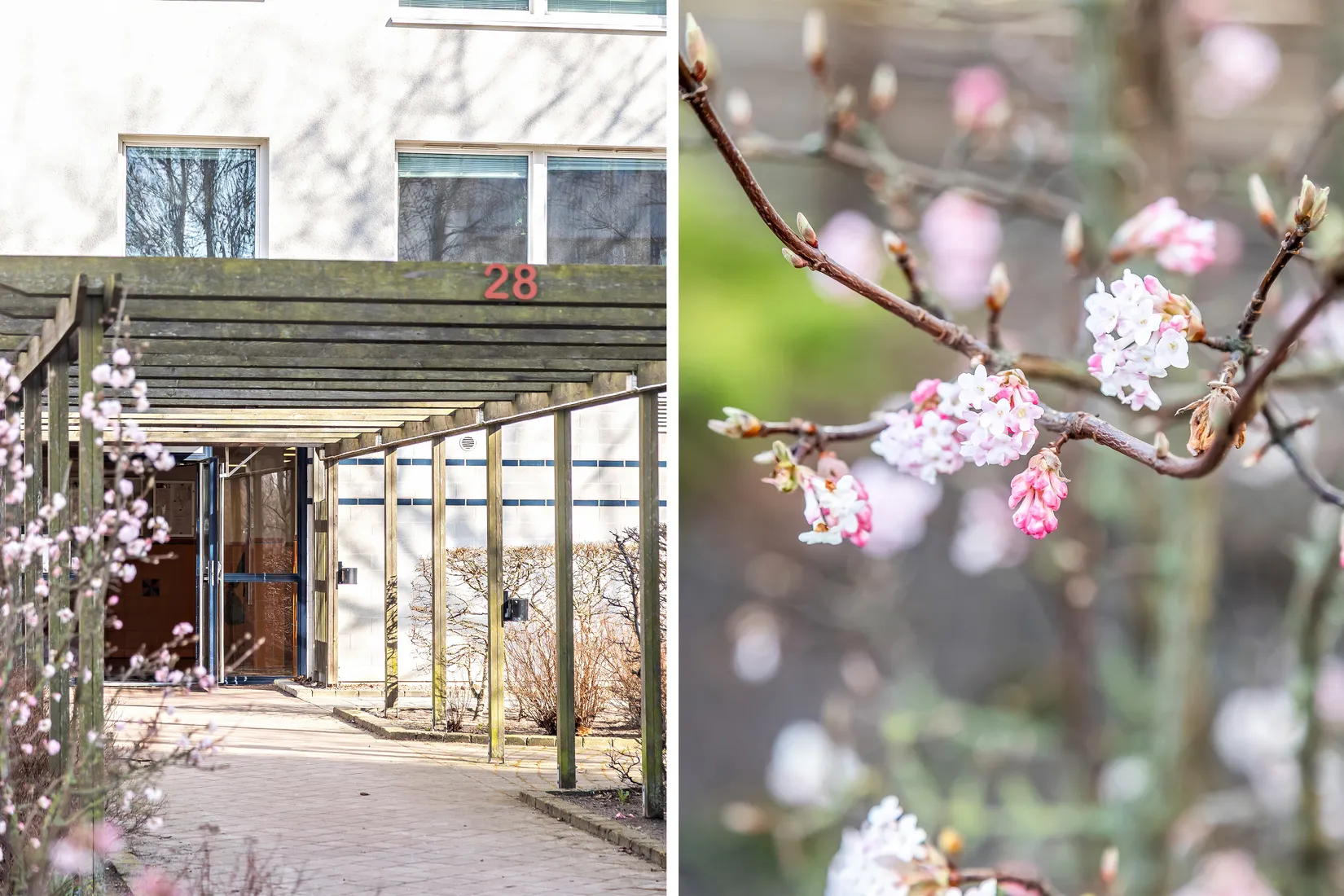 Bostadsrätt, Serenadgatan 28, Högaholm, Malmö