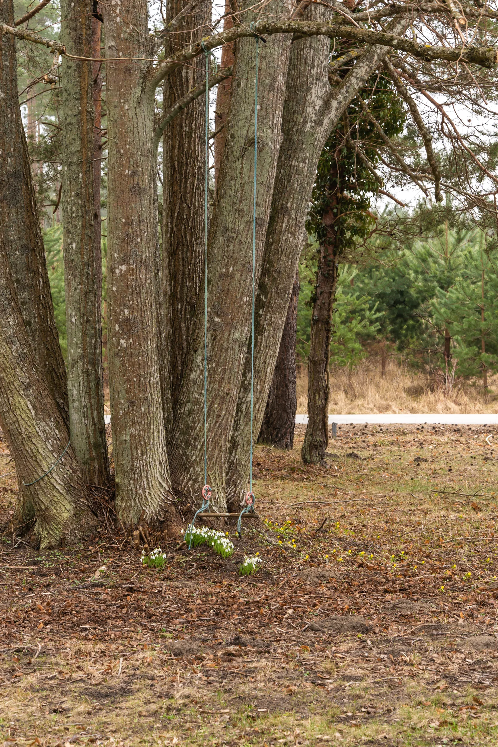 Villa, Algots väg 171, Kristianstad