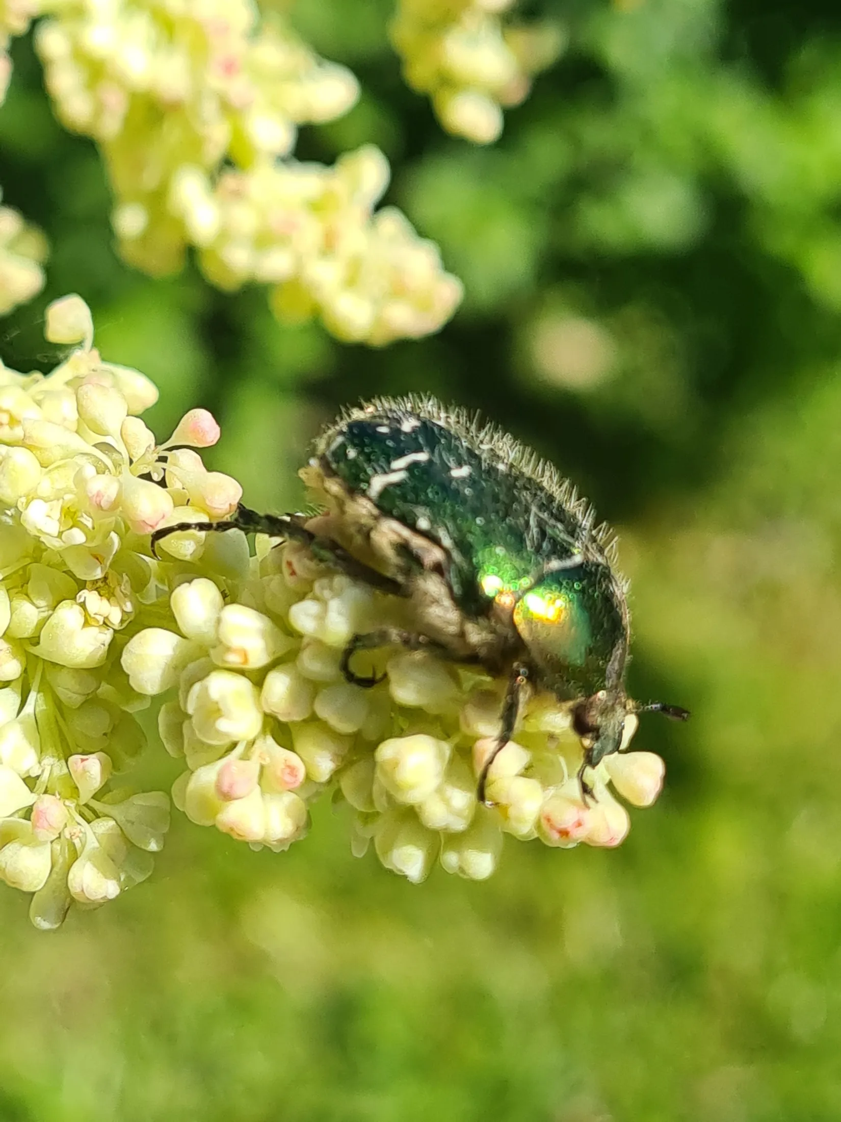 Villa, Fasttorp Ekehult, Lista, Eskilstuna