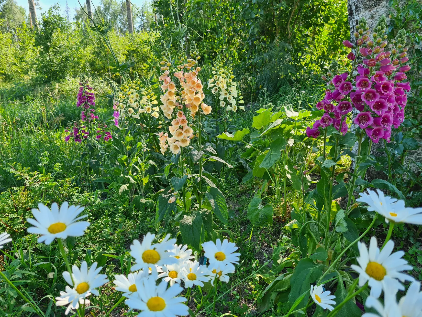 Villa, Fasttorp Ekehult, Lista, Eskilstuna