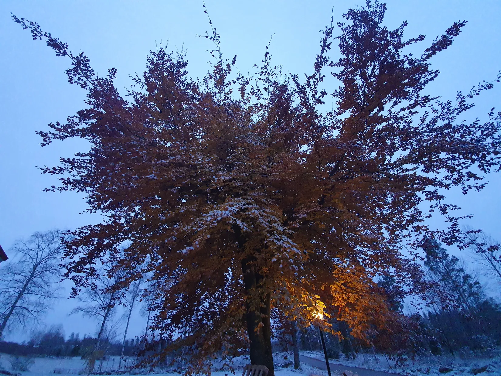 Villa, Fasttorp Ekehult, Lista, Eskilstuna